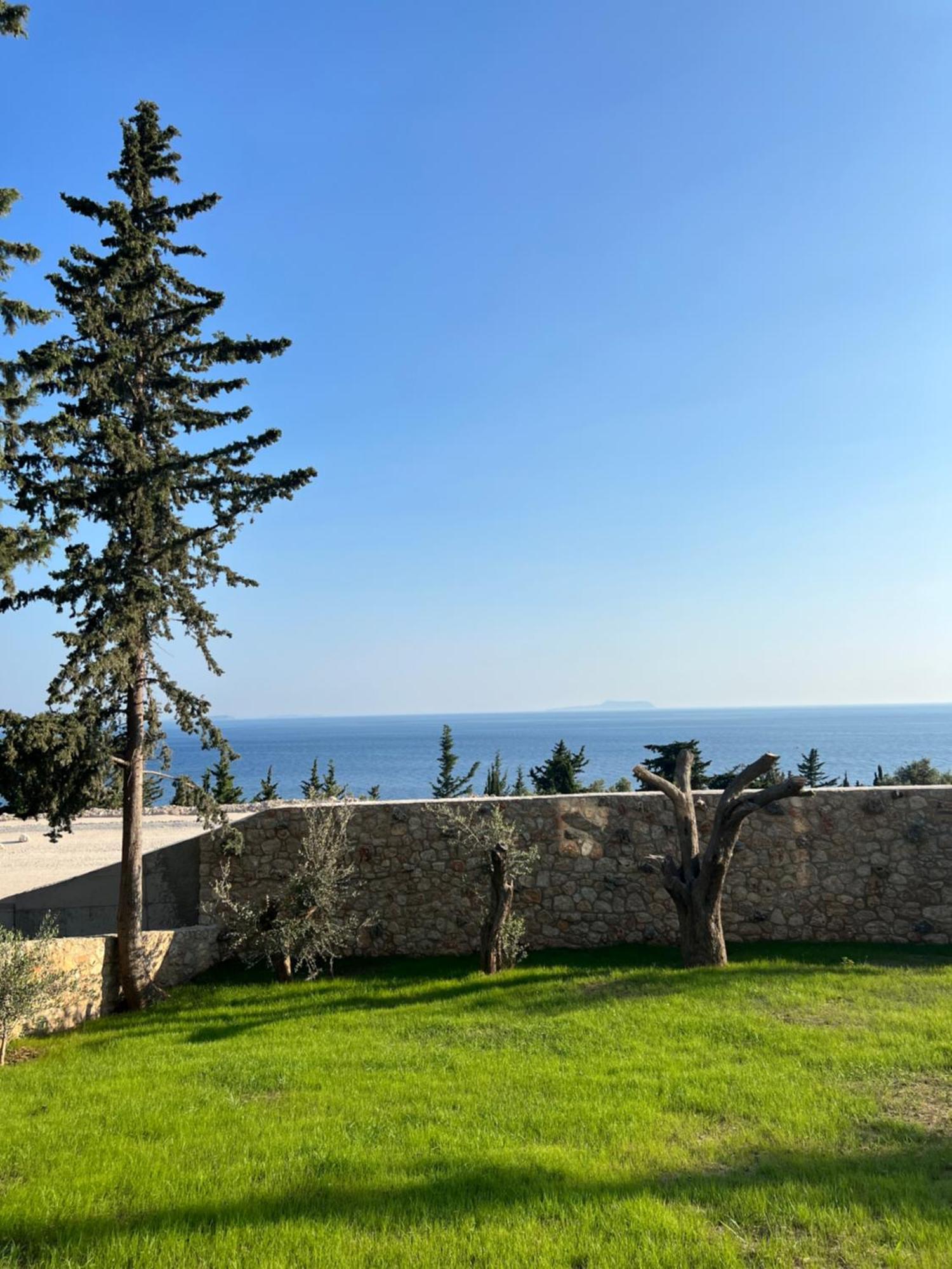 דרמי Summer Wine Boutique Hotel מראה חיצוני תמונה